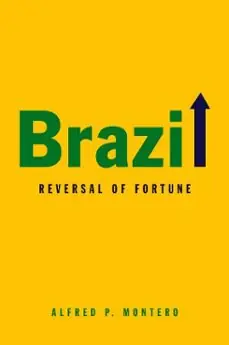 BRAZIL REVERSAL OF FORTUNE Stock Limitado