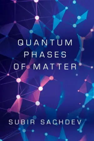 A Buen Precio Quantum Phases Of Matter