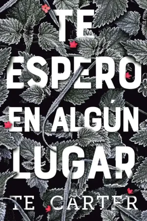 A Buen Precio Te espero en algún lugar