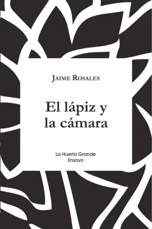 El Lápiz y la Cámara Oferta Flash