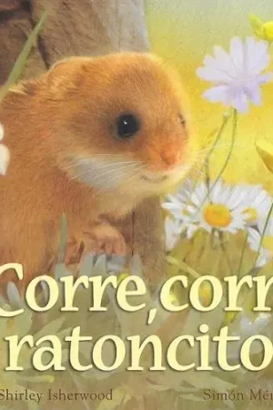 ¡Corre, corre, ratoncito! Ordena Ya