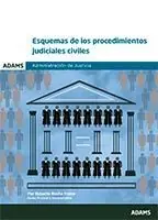 Administración de Justicia Esquemas de los procedimientos judiciales civiles Solo Por Tiempo Limitado